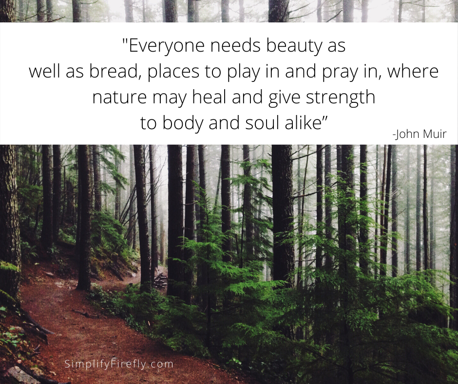 John Muir quote in trees