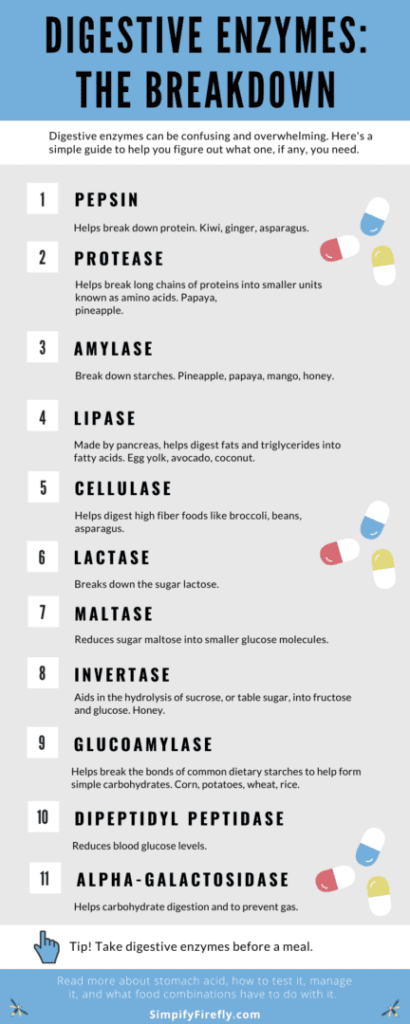 digestive enzymes list