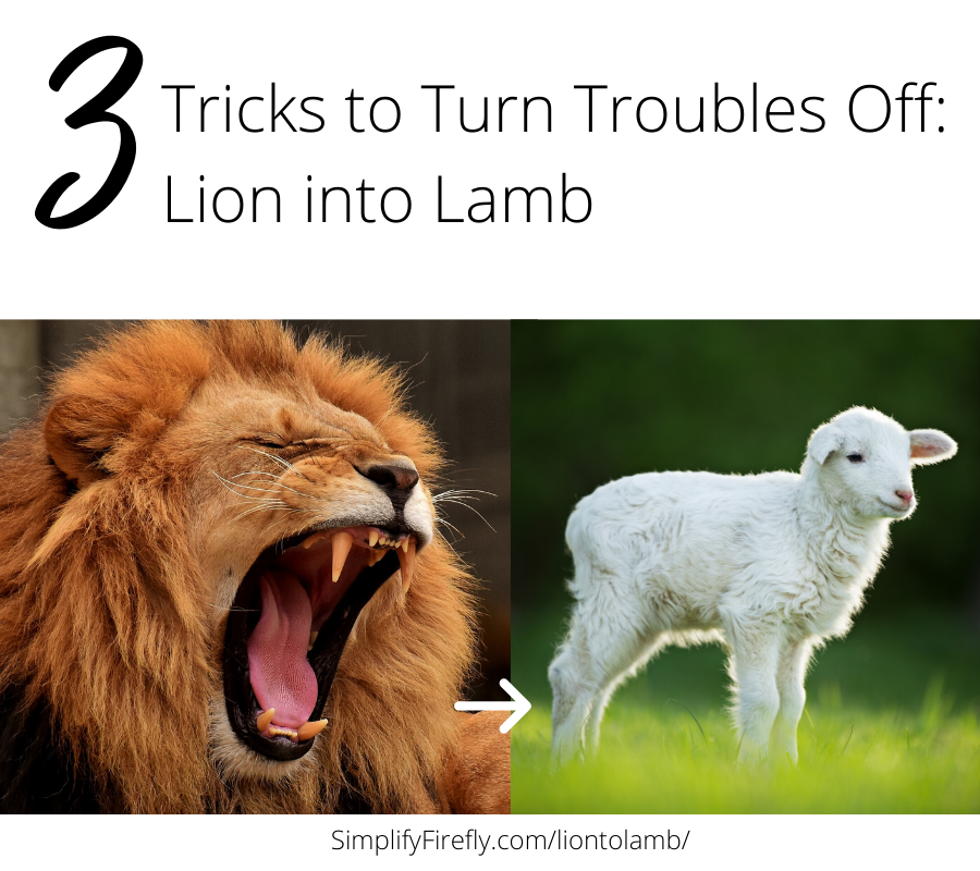 lion to lamb