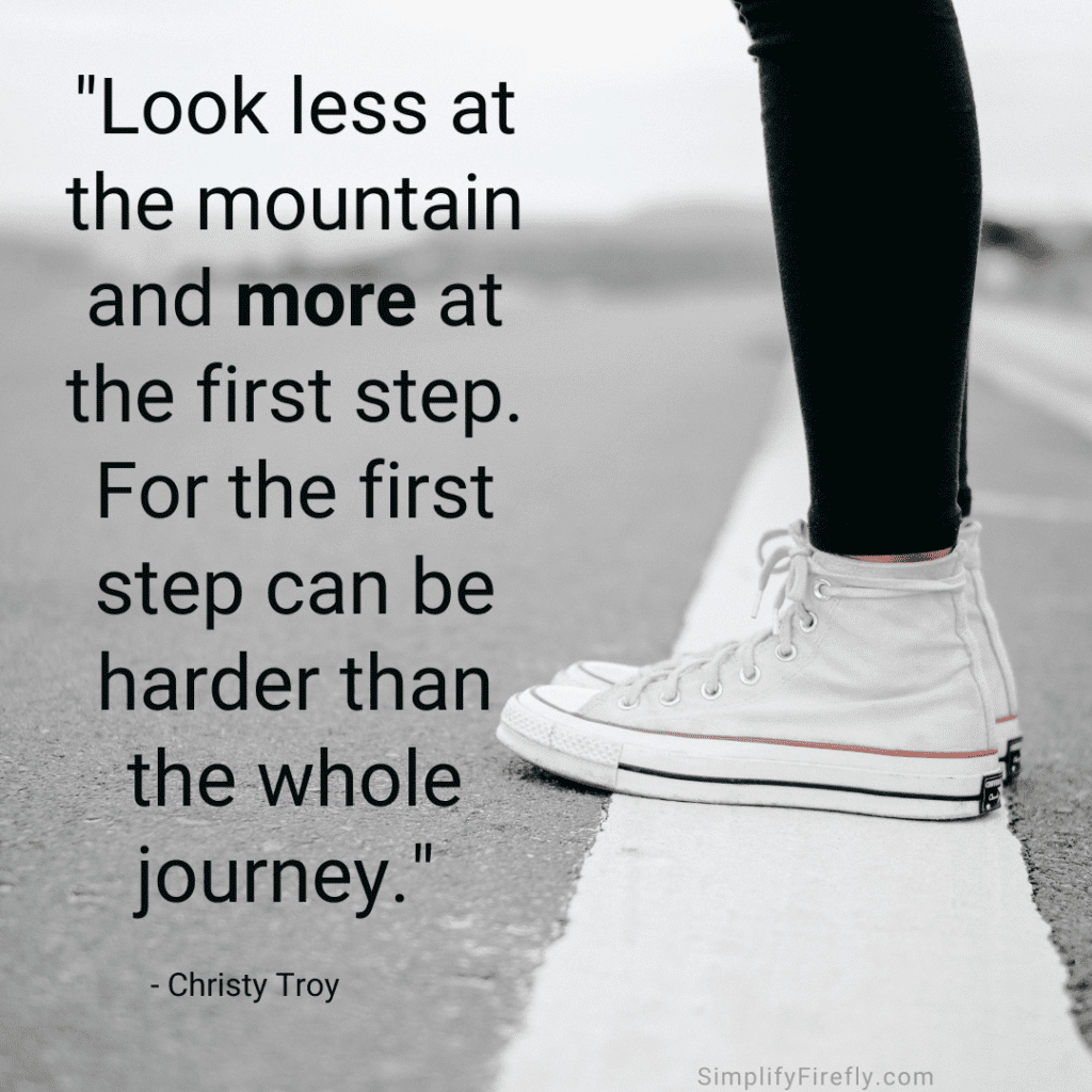 look less at the mountain and more at the first step. For the first step can be harder than the whole journey. Christy Troy