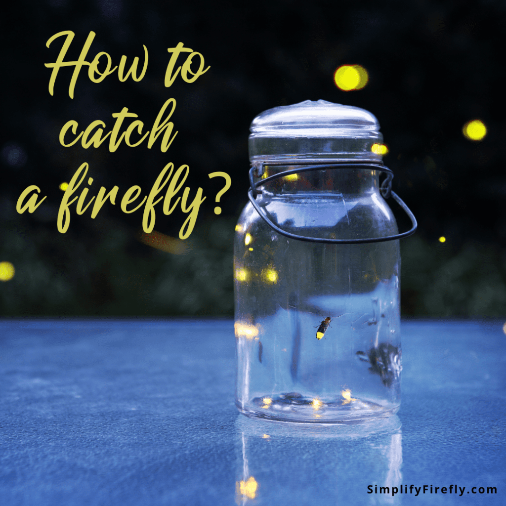 firefly jar