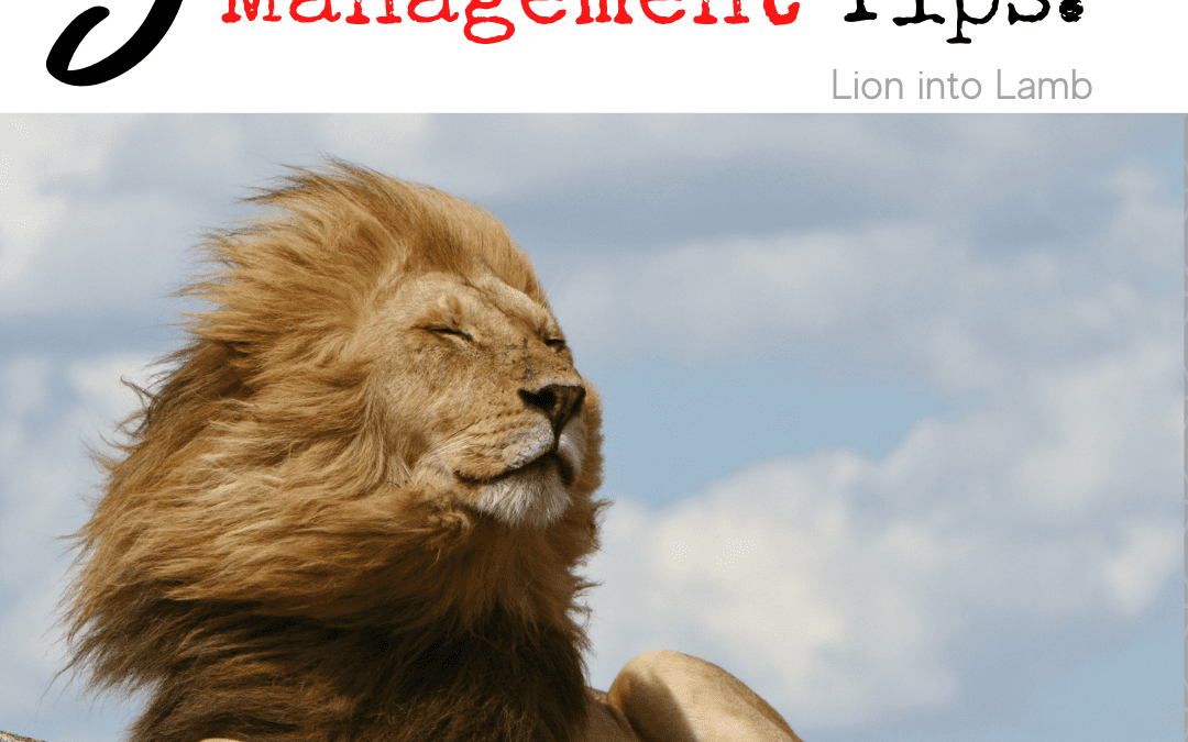 3 Simple Anger Management Tips- Lion into Lamb
