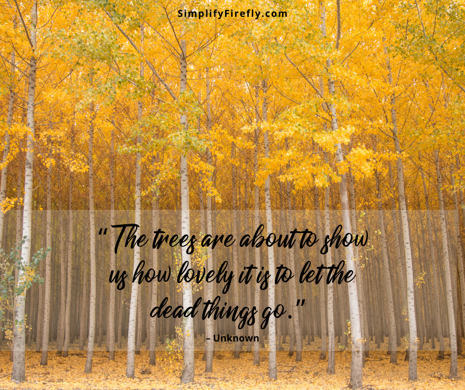 fall trees quote
