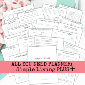 All You Need Planner Plus